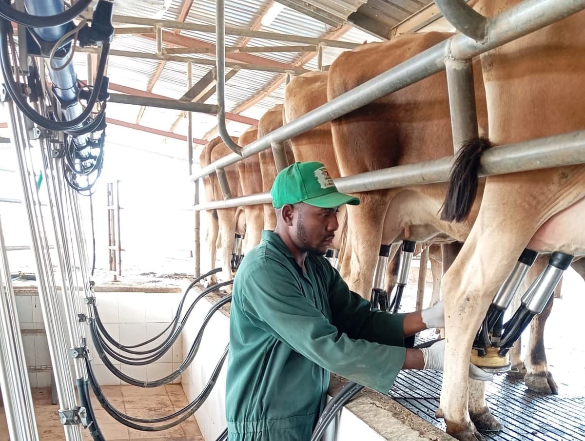 Vet konect training session